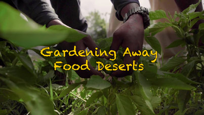 Gardening Away Food Deserts